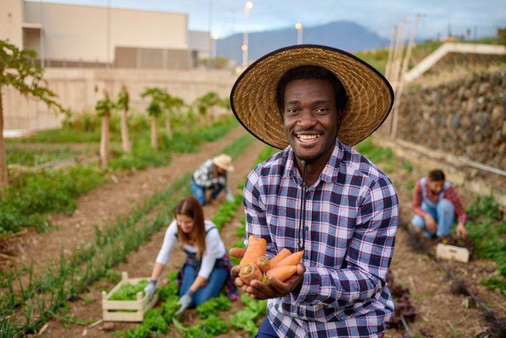 Homme souriant tenant des carottes fraîches dans un jardin communautaire à Hawkesbury, avec des résident·es cultivant la terre en arrière-plan.