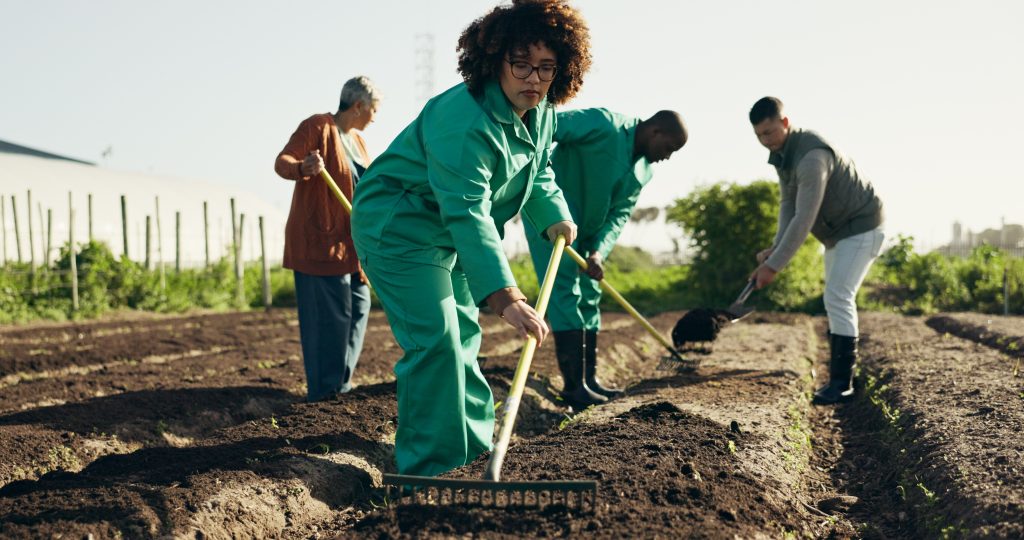 Personnes cultivant un jardin communautaire à Hawkesbury, symbole d’intégration des nouveaux arrivants francophones au printemps