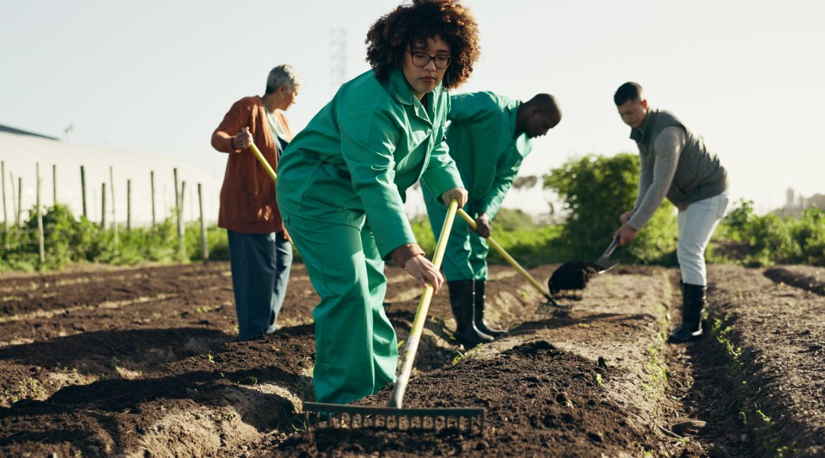 Personnes cultivant un jardin communautaire à Hawkesbury, symbole d’intégration des nouveaux arrivants francophones au printemps